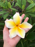Vishanu Gold - Rare Extremely Good Keeping