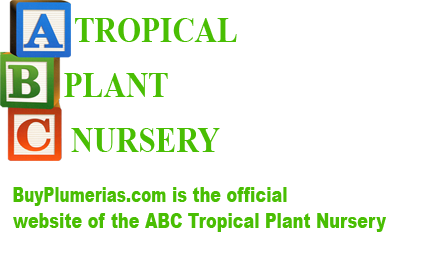 BuyPlumerias.com